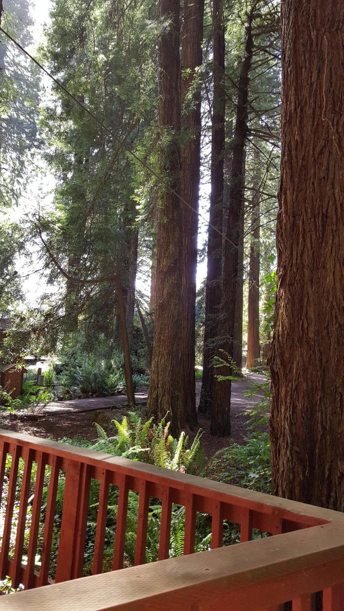Emerald Forest Cabins Trinidad Quarto foto