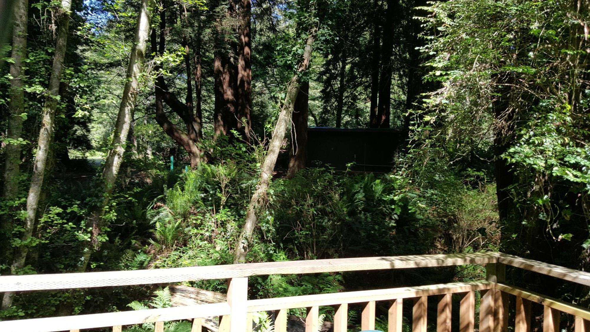 Emerald Forest Cabins Trinidad Quarto foto