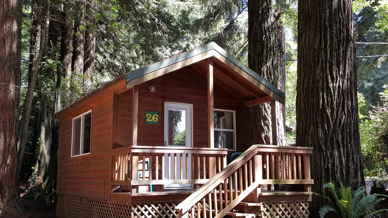 Emerald Forest Cabins Trinidad Exterior foto