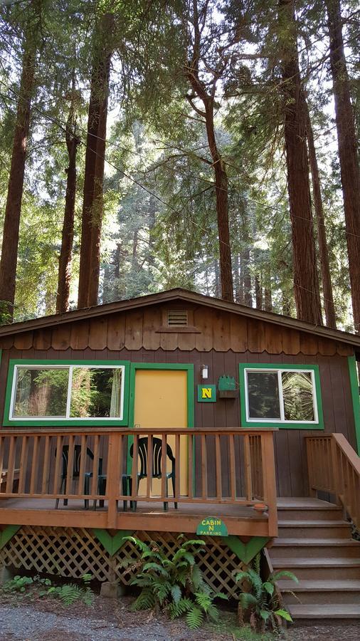 Emerald Forest Cabins Trinidad Quarto foto